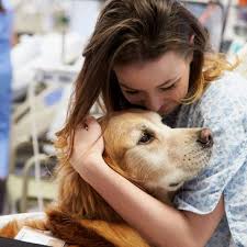 Pet sitting, dog walking, overnight pet stays. Fun Fur U In Home Pet Care Pet Sitting Dog Walker Dog Sitting