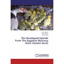 We did not find results for: The Developed Hybrids From The Egyptian Muscovy Duck Sudani Duck Amer Makram Livres Specialises Africa Vivre