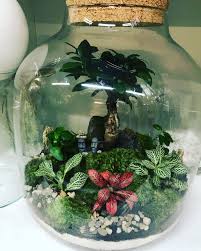 Pin By Nadalia Faitala On Las Air Plant Terrarium Beautiful Terrariums Succulent Terrarium