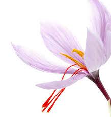 Iran Saffron Exporter Exporting Saffron To All Around The World Bunga Desain Banner Desain