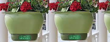 Check spelling or type a new query. Self Watering Smart Planter