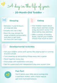 Checklists, assessments, and roper, laughlin, and tierney. 20 Month Old Development Milestones Pampers