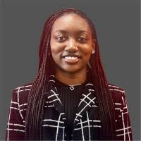 700+ "Tamiya" profiles