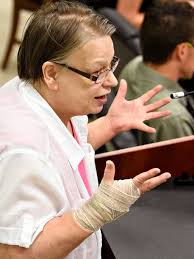 PHOTOS: West York Borough Council Meeting and Community Protest