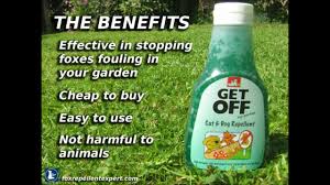 A net wire fence with openings of 3 inches or less and buried to a depth of 1 or 2 feet with an apron of net wire extending one foot outward from the bottom is a definite fox deterrent. Get Off My Garden Fox Repellent To Stop Foxes Pooing Youtube