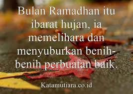 Kata kata mutiara islami lebaran. Kata Lucu Islami Penuh Makna Cikimm Com