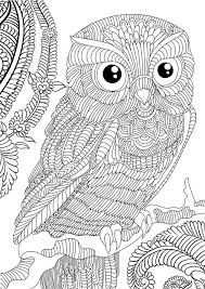 Pin By Patricia Presentado On Dessin Owl Coloring Pages Animal Coloring Pages Halloween Coloring Pages
