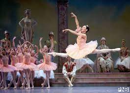 Former Pnb Dancer Mara Vinson Wearing A Tutu By Italian Designer Roberta Guidi Di Bagno Dances In George Balanc Ballet Dancers Dance Pacific Northwest Ballet