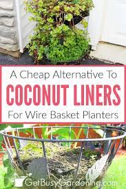 It has many versatile uses, but first let us learn about it's history and burlap is called hessian is many parts of europe because it was in wide use in germany at the time it. A Cheap Alternative To Coconut Liners For Hanging Baskets Planters