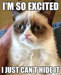 I M So Excited I Just Can T Hide It Grumpy Cat Quickmeme
