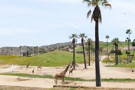 Per guidance from the state of california and county of san diego: 100 Fun Things To Do In San Diego With Kids Guide Ync
