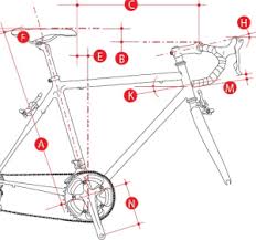 bike fitting burlington pt