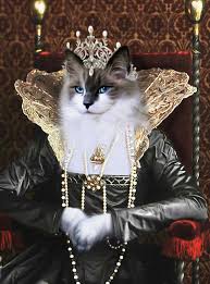 Reply from royal pet pawtrait hello nicole! Skyler By Pompous Pets From Sydney Australia Cats Illustration Cat Portraits Cat Art