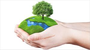 We did not find results for: World Environment Day 2021 Theme Quotes Slogans Posters Greetings Businesstoday