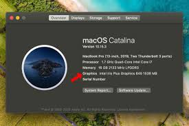 Check spelling or type a new query. How To Find Out What Graphics Card You Have The Verge