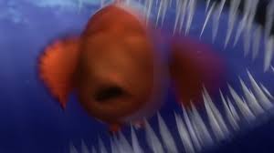 The barracuda is a minor, but important character in finding nemo. Viewpoint In Finding Nemo David Deliema