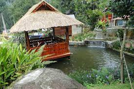 Tambahan lagi di sini turut ada chalet kayu kawasan kampung yang selesa untuk bermalam dan menikmati suasana tenang jauh dari bandar. Creamycheese Byart Home Facebook