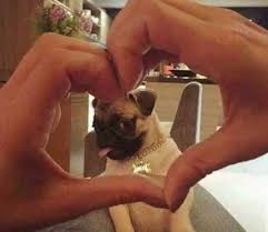 We use cookies on our website to give you the most relevant experience by remembering your preferences and repeat visits. Weird Funny But Not Cool Weird Funny But Not Cool