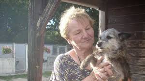 Chiens Et Chats Ont Ete Adoptes Au Refuge De Salbris