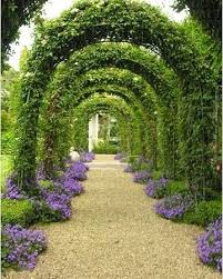 Sandford Garden Design In 2020 Backyard Landscaping Garden Design Garden Arch