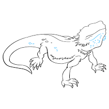Hand made couches for bearded dragons, small animals or even dolls. How To Draw A Bearded Dragon Lizard Really Easy Drawing Tutorial