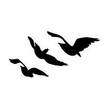 Divergent Tris Raven Tattoo Flying Birds Vinyl Wall Decal Sticker Liked On Polyvore Featuring Home Divergent Tris Divergent Tattoo Tris Divergent Tattoo