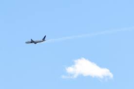 During the takeoff run from runway 01l, the flight crew detected a failure in the left engine and. Dm7tlcl8 Szgym