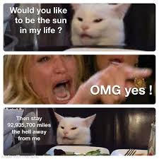 Pin By Bob Keefe On Woman Yelling At Cat Funny Cat Memes Funny Memes Images Happy Birthday Funny Cats Meme culture is knowing the perfect meme for the occasion but not remembering its name and having to describe it to google like.