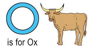 Without it, you will not be able to say words properly even if you know how to write those words. Words That Start With O For Kids