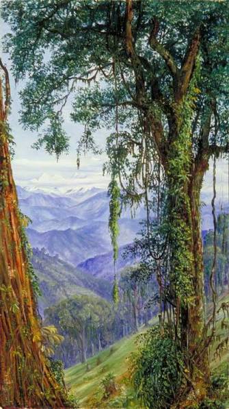 File:Marianne North (1830-1890) - View from Rungaroon near Darjeeling, India - MN230 - Marianne North Gallery, Royal Botanic Gardens, Kew.jpg - Wikimedia Commons