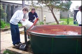 All you need to build a backyard concrete pond is some advance planning, $600 to $800 in materials, and a little help from 15 or 20 friends. Dimensions Dig Different Sized Fish Ponds