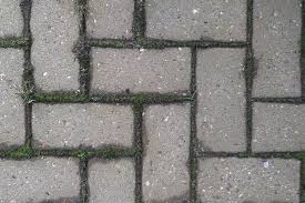 The Best Way To Get Rid Of Moss Between Patio Bricks | Hunker