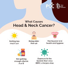 Welcome to parkway cancer centre, singapore. Parkway Cancer Centre Posts Facebook