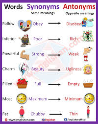 Pin On Synonyms