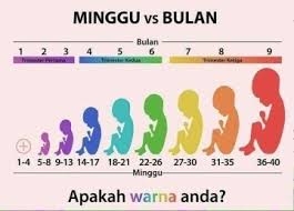 Ada yang tak faham cara betul kira usia kandungan bunting pelamin sampai mengata wanita yang baru berkahwin 4 minggu tapi dah mengandung 6 minggu sebagai hamil luar nikah. Kiraan Umur Kandungan Assalamualaikum Saya Nak Tanya Kiraa