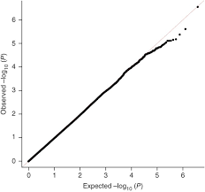 Image result for Brilliant White 1986 Edmundson Distribution