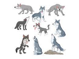 Find the perfect wolf cartoon stock illustrations from getty images. Cartoon Wolves Collection By Tigatelu On Dribbble