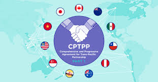 The cptpp covers a broad range of goods and services. Cptpp What Does It Mean For Sea S Smes And Ecommerce Janio