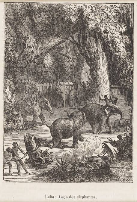March of the Mammoth, the Indian elephant's story - Sarmaya