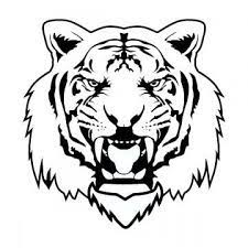 Vector Tiger Vector Tiger Animal Png Transparent Clipart Image And Psd File For Free Download Tiger Illustration Tiger Images Tiger Drawing