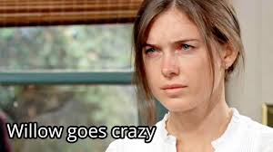 Did we predict Willow's crazy behavior