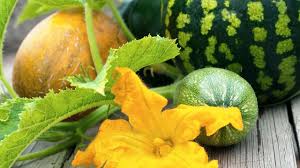 Wie Gesund Sind Zucchini Und Wassermelone Marktcheck Swr In 2020 Wassermelone Melone Zucchini