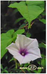 See more of weimar enterprise sdn bhd on facebook. Pin On G