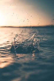 20 Splash Pictures Hq Download Free Images On Unsplash Find over 100+ of the best free photos images. 20 splash pictures hq download