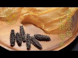 youtube sea cucumber how to cook fish royal chicken