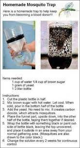 Get rid of stagnant water. How To Get Rid Of Mosquitoes Mosquito Trap Life Hacks Helpful Hints
