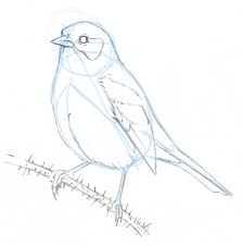 Maybe you would like to learn more about one of these? How To Draw A Song Sparrow Step By Step Bird Drawings Bird Sketch Bird Pencil Drawing