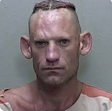 The EVIL TWIN of Beretta's parrot!