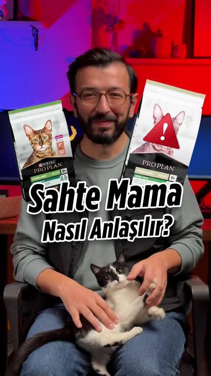 Pati Dostu Evlerde Sahte Mama Tehlikesi: Nasıl Korunursun?