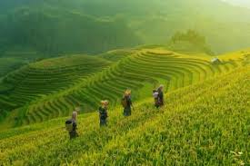 To gain experience and earn. Axa Investment Managers Home Axa Im Uk